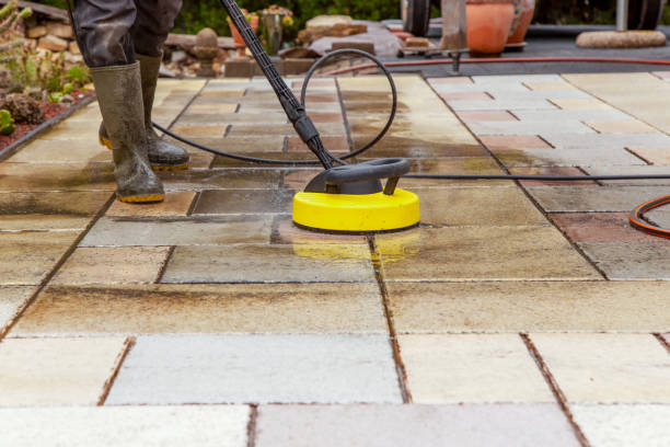 Animal Enclosure Cleaning in Craigsville, WV